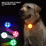 GlowPaws™ Water-Resistant USB Rechargeable LED Dog Collar
