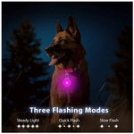 GlowPaws™ Adjustable LED Dog Collar — Rechargeable Night Light