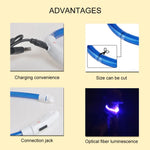 GlowPaws™ USB Rechargeable LED Dog Collar for Night Walks