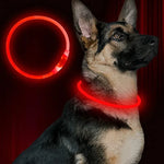 GlowPaws™ Rechargeable LED Dog Collar for Low-Light Walks