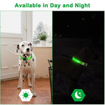 GlowPaws™ Adjustable LED Dog Collar — Rechargeable Night Light