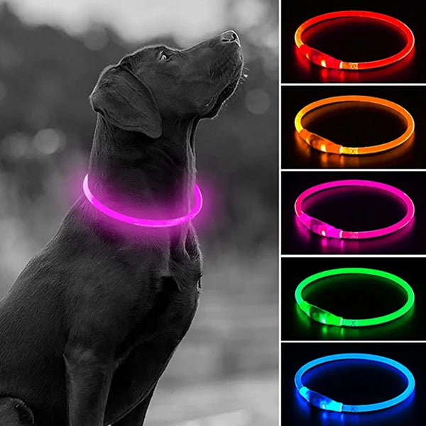 GlowPaws™ USB Rechargeable LED Dog Collar for Night Walks