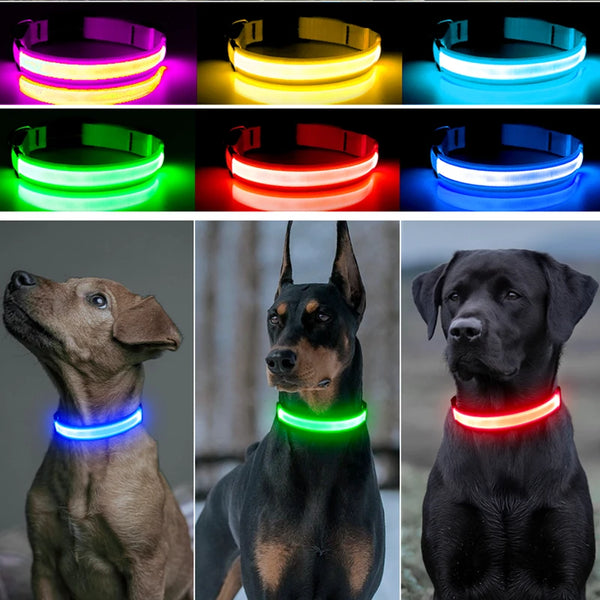 GlowPaws™ Adjustable LED Dog Collar — Rechargeable Night Light