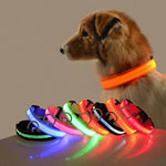 GlowPaws™ LED Dog Collar for Night Walk Visibility