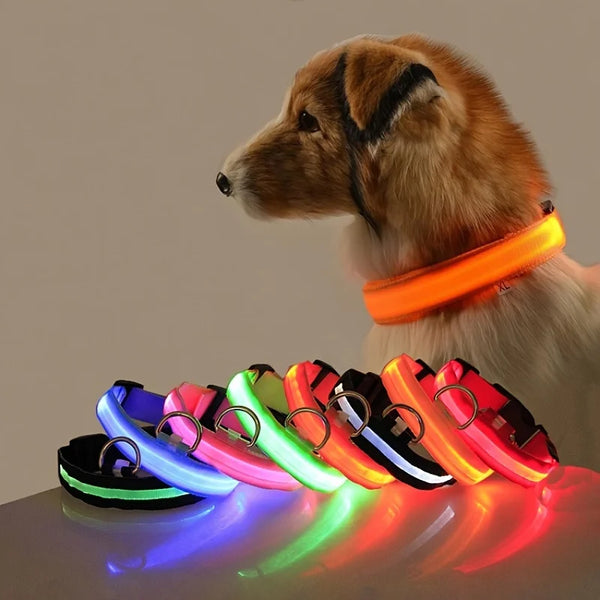 GlowPaws™ LED Dog Collar for Night Walk Visibility