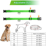 GlowPaws™ Adjustable LED Dog Collar — Rechargeable Night Light