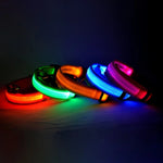 GlowPaws™ LED Dog Collar for Night Walk Visibility