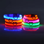 GlowPaws™ LED Dog Collar for Night Walk Visibility