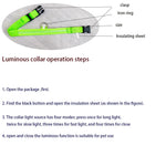 GlowPaws™ LED Dog Collar for Night Walk Visibility