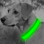 GlowPaws™ Adjustable LED Dog Collar — Rechargeable Night Light