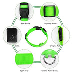 GlowPaws™ Adjustable LED Dog Collar — Rechargeable Night Light