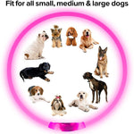 GlowPaws™ USB Rechargeable LED Dog Collar for Night Walks